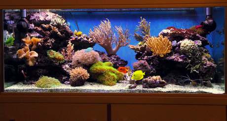 Rampe LED r�cifal