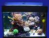 Rampe LED r�cifal